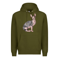 Sphynx Cat Premium Hoodie | Teevron