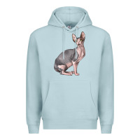 Blue Mist Sphynx Cat Premium Hoodie - LillyAllenDesigns