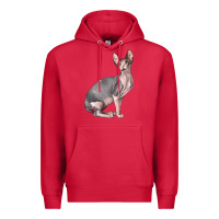 Cardinal Sphynx Cat Premium Hoodie - LillyAllenDesigns
