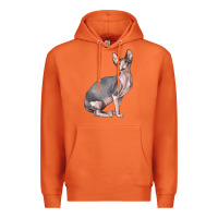 Carrot Sphynx Cat Premium Hoodie - LillyAllenDesigns