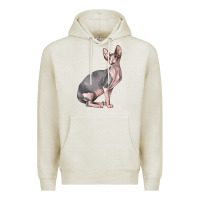 Oatmeal Heather Sphynx Cat Premium Hoodie - LillyAllenDesigns