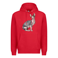 Red Sphynx Cat Premium Hoodie - LillyAllenDesigns