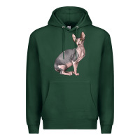 Sports Green Sphynx Cat Premium Hoodie - LillyAllenDesigns
