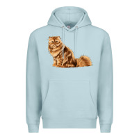 Blue Mist Persian Cat Premium Hoodie - LillyAllenDesigns
