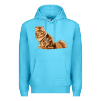 Ocean Blue Persian Cat Premium Hoodie - LillyAllenDesigns