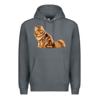 Rock Persian Cat Premium Hoodie - LillyAllenDesigns