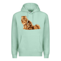 Seafoam Persian Cat Premium Hoodie - LillyAllenDesigns
