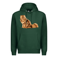 Sports Green Persian Cat Premium Hoodie - LillyAllenDesigns