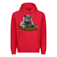 Red Scottish Fold Premium Hoodie - LillyAllenDesigns