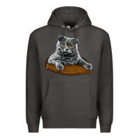 Smoke Scottish Fold Premium Hoodie - LillyAllenDesigns
