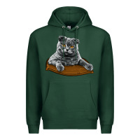Sports Green Scottish Fold Premium Hoodie - LillyAllenDesigns