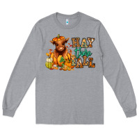 Heather Grey Hay there Fall pumpkin heifer Long Sleeve Tee - RanaPortraitStore