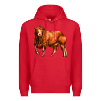 Red red angus bull Premium Hoodie - LillyAllenDesigns
