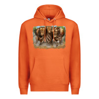 Carrot 3 red angus bulls Premium Hoodie - LillyAllenDesigns