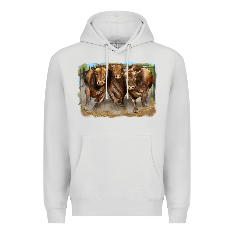 3 Red Angus Bulls Premium Hoodie by LillyAllenDesigns | Teevron