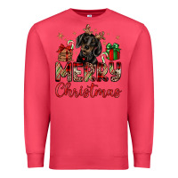 Cardinal merry christmas dachshund Premium Sweatshirt - JahusDesignShop