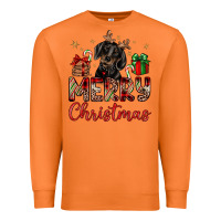 Carrot merry christmas dachshund Premium Sweatshirt - JahusDesignShop