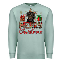 Seafoam merry christmas dachshund Premium Sweatshirt - JahusDesignShop
