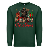 Sports Green merry christmas dachshund Premium Sweatshirt - JahusDesignShop