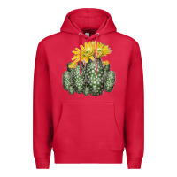 Cardinal texas rainbow cactus Premium Hoodie - LillyAllenDesigns