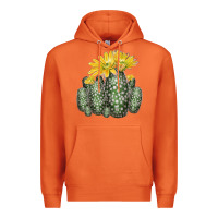 Carrot texas rainbow cactus Premium Hoodie - LillyAllenDesigns