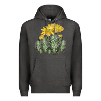 Charcoal Heather texas rainbow cactus Premium Hoodie - LillyAllenDesigns
