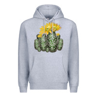 Heather Grey texas rainbow cactus Premium Hoodie - LillyAllenDesigns