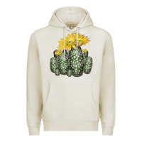 Oatmeal Heather texas rainbow cactus Premium Hoodie - LillyAllenDesigns