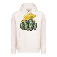 Pale Pink texas rainbow cactus Premium Hoodie - LillyAllenDesigns