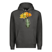 Charcoal Heather texas rainbow cactus Premium Hoodie - LillyAllenDesigns