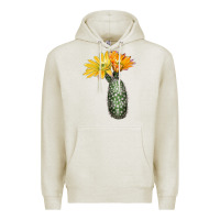 Oatmeal Heather texas rainbow cactus Premium Hoodie - LillyAllenDesigns