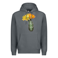 Rock texas rainbow cactus Premium Hoodie - LillyAllenDesigns
