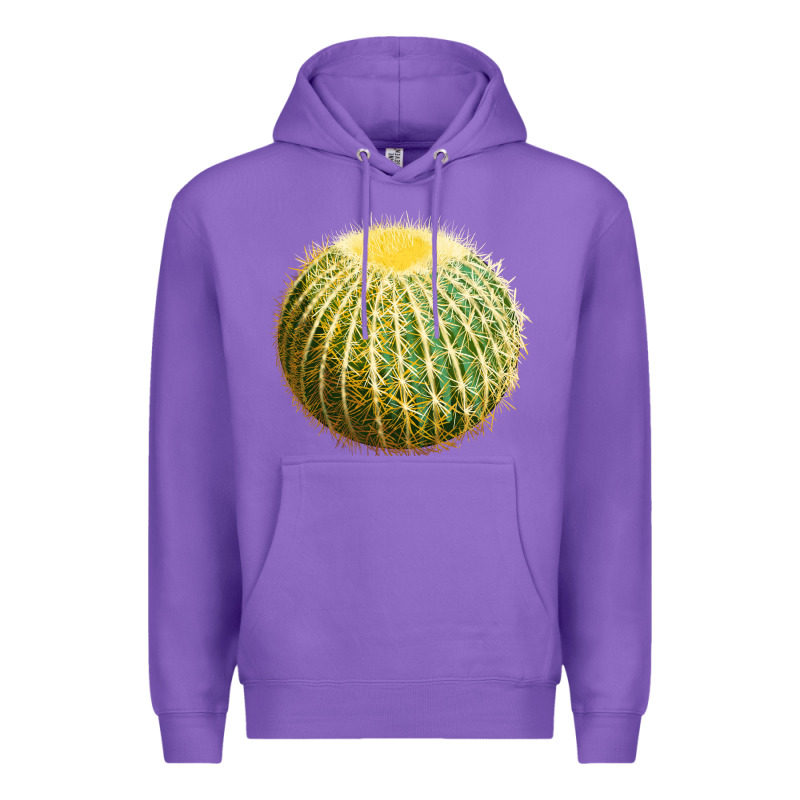 Golden Barrel Cactus Premium Hoodie by LillyAllenDesigns | Teevron