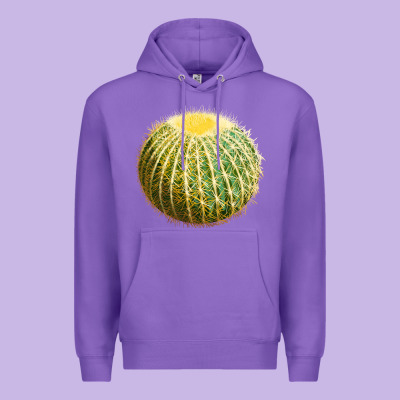 Golden Barrel Cactus Premium Hoodie Designed By Lillyallendesigns