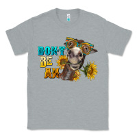 Heather Grey don't be an ass donkey Classic Tee - BarkalooDesign
