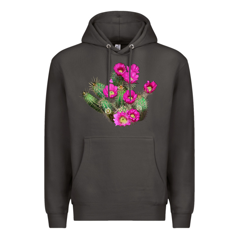 Strawberry Hedgehog Cactus Premium Hoodie by LillyAllenDesigns | Teevron