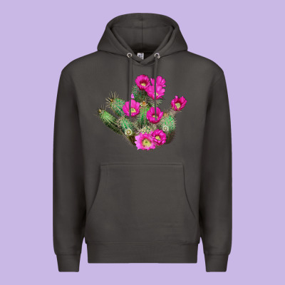 Strawberry Hedgehog Cactus Premium Hoodie Designed By Lillyallendesigns