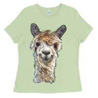 Matcha alpaca Ladies Tee - BarkalooDesign