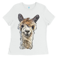White alpaca Ladies Tee - BarkalooDesign