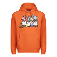 Carrot easter bunny gnomes Premium Hoodie - Jasminsmagicworld