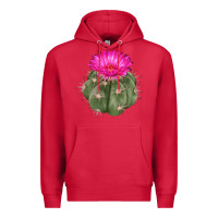 Cardinal eagle claws cactus Premium Hoodie - LillyAllenDesigns