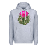 Heather Grey eagle claws cactus Premium Hoodie - LillyAllenDesigns
