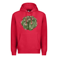 Cardinal eagle claws cactus Premium Hoodie - LillyAllenDesigns