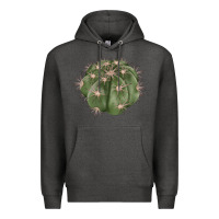 Charcoal Heather eagle claws cactus Premium Hoodie - LillyAllenDesigns