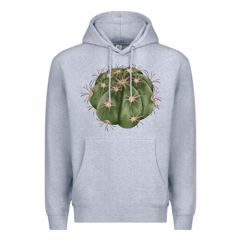 Eagle Claws Cactus Premium Hoodie by LillyAllenDesigns | Teevron