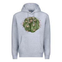 Heather Grey eagle claws cactus Premium Hoodie - LillyAllenDesigns