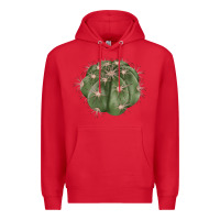 Red eagle claws cactus Premium Hoodie - LillyAllenDesigns
