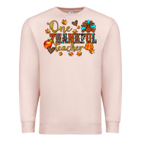 Pale Pink one thankful teacher Premium Sweatshirt - JahusDesignShop