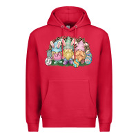 Cardinal Easter Day gnomes Premium Hoodie - NancyCooperArtShop
