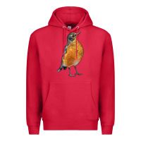 Cardinal American Robin Bird Premium Hoodie - LillyAllenDesigns